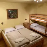 Almapartment Skiwiege - Ski-in - Ski-out Only * קירשברג אין טירול