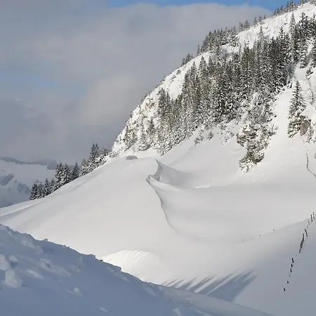 Lejlighed Almapartment Skiwiege - Ski-in - Ski-out Only Kirchberg in Tirol