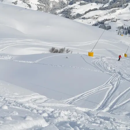 Apartamento Almapartment Skiwiege - Ski-in - Ski-out Only *