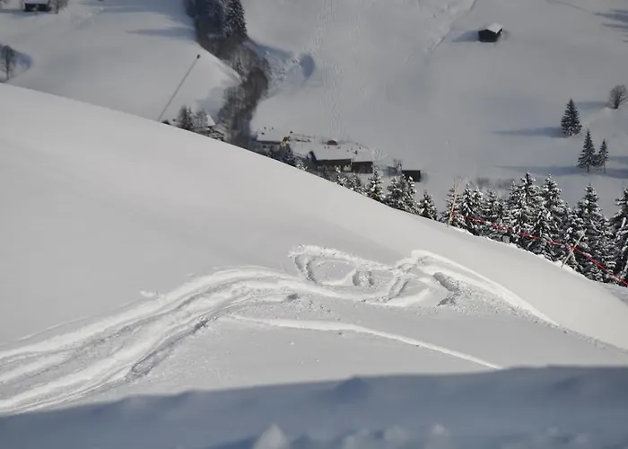 Апартаменты Almapartment Skiwiege - Ski-in - Ski-out Only Кирхберг